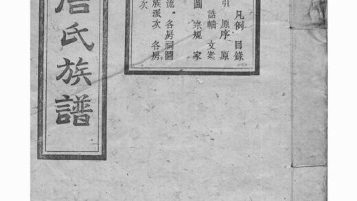 03443 新園唐氏八修族譜 1207212802 1.jpg