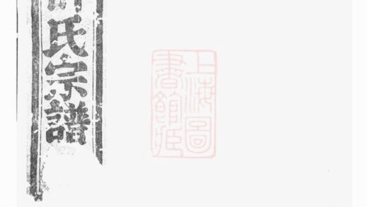 04119 暨陽琴山許氏宗譜 Version 1 Part 1 1207214009 1.jpg