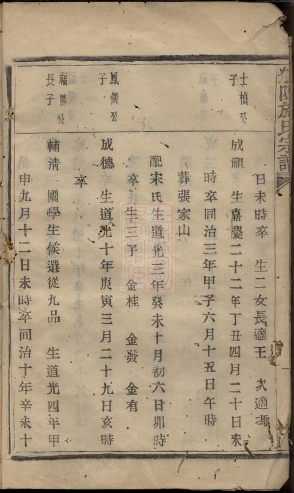 _杭塢施氏宗譜__