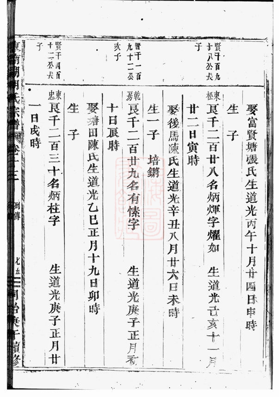 _東南湖胡氏宗譜 version part __