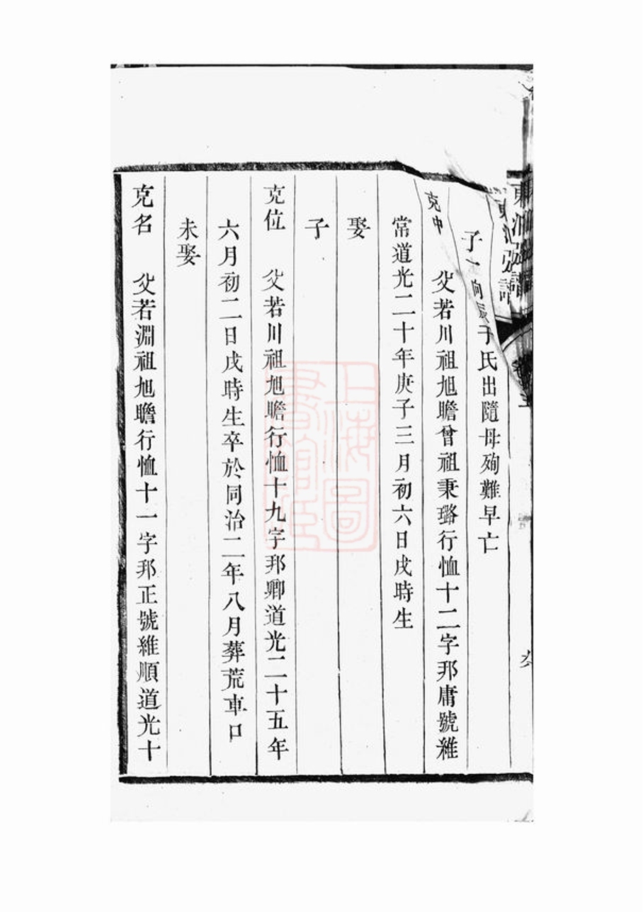 _東泊張譜 version part __