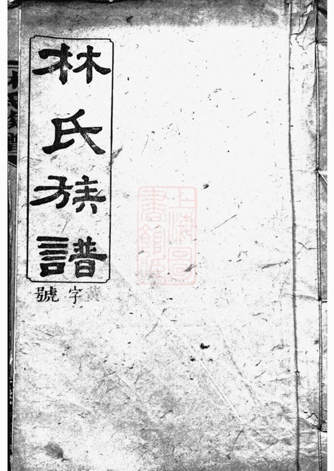 _林氏族譜 part __