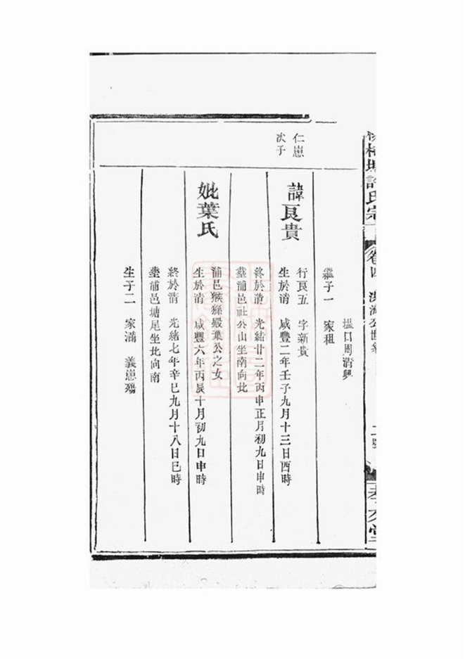_桃柿塘許氏宗譜__