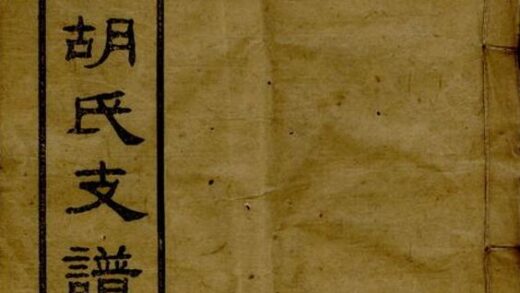 06043 沅江南洲胡氏支譜 1207221143 1.jpg