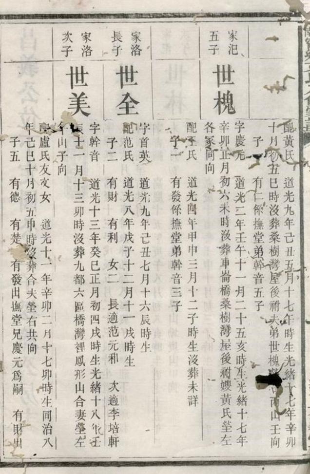 _湖南寧鄉文氏八修家譜__