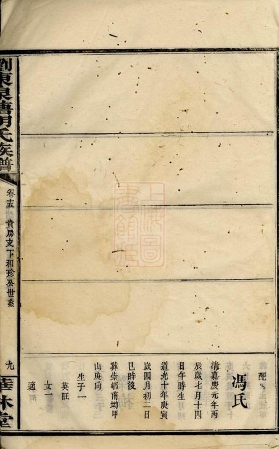 _瀏東泉塘胡氏族譜__
