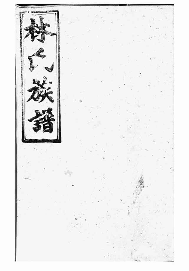 _瀏陽林氏族譜__