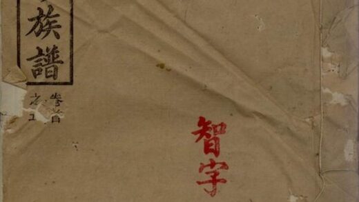07554 王氏八修族譜 1207223440 1.jpg