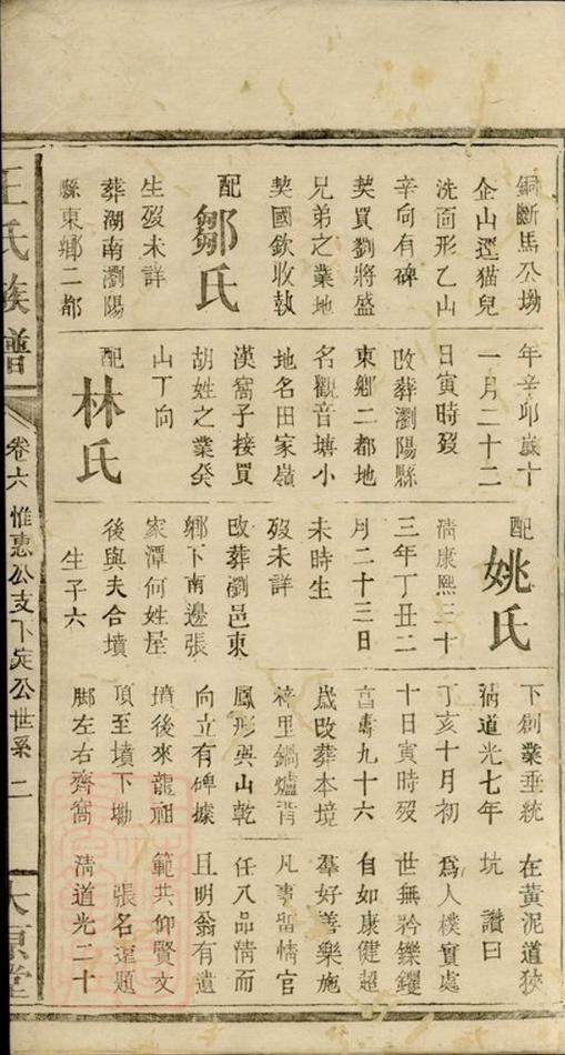 _王氏族譜 version __