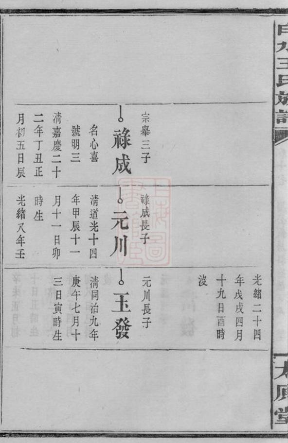 _白水王氏族譜 version part __