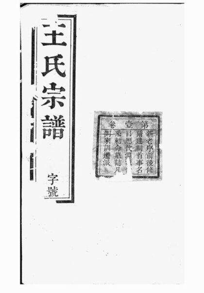 07880 皖桐王氏宗譜 1207223933 1.jpg