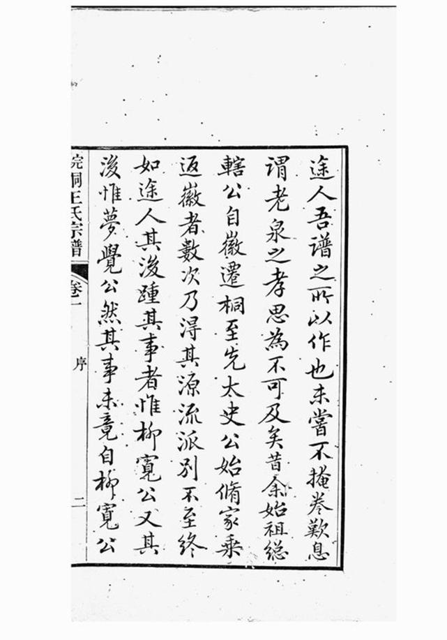 _皖桐王氏宗譜__