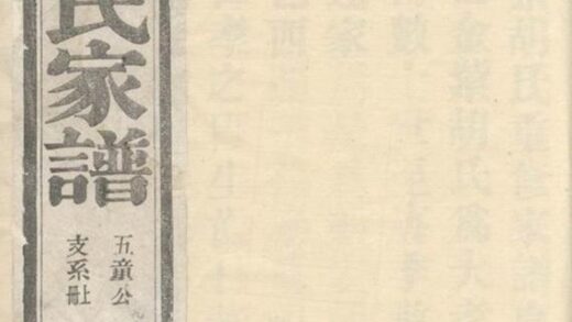 08294 績溪金紫胡氏家譜 1207224601 1.jpg