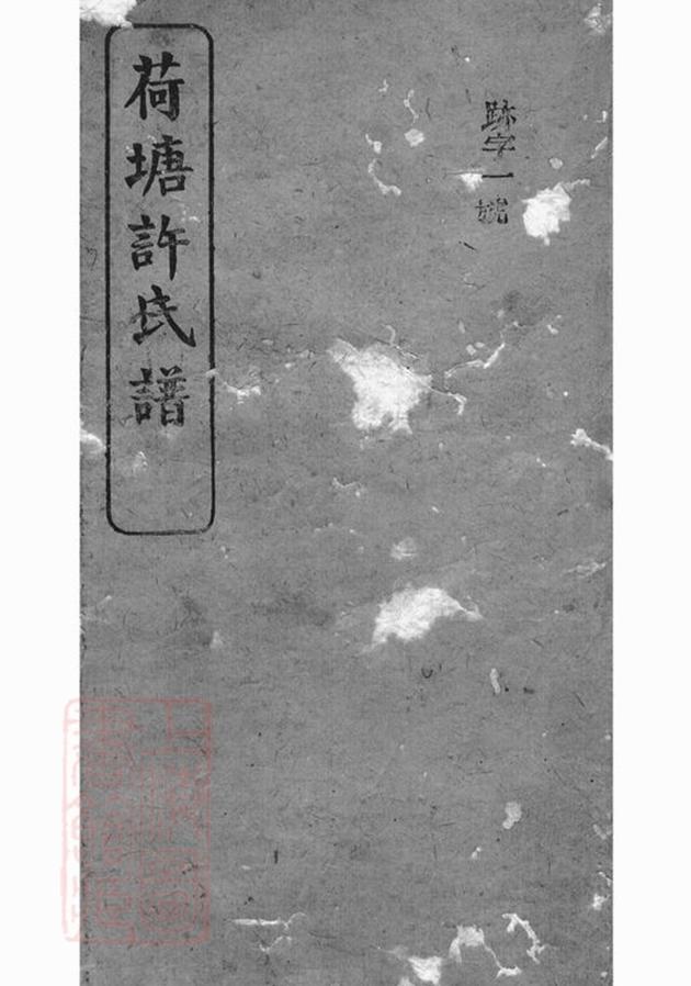 _荷塘許氏譜__