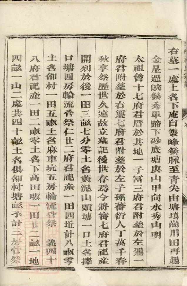 _華峰施氏宗譜 version __