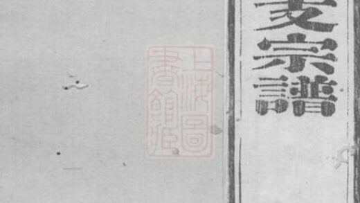 08962 華氏宗譜 Version 5 1207225704 1.jpg