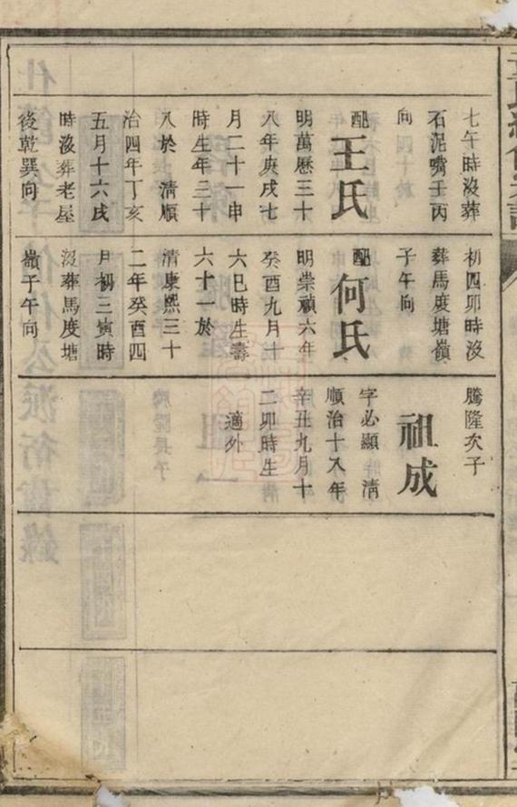 _董氏續修宗譜__