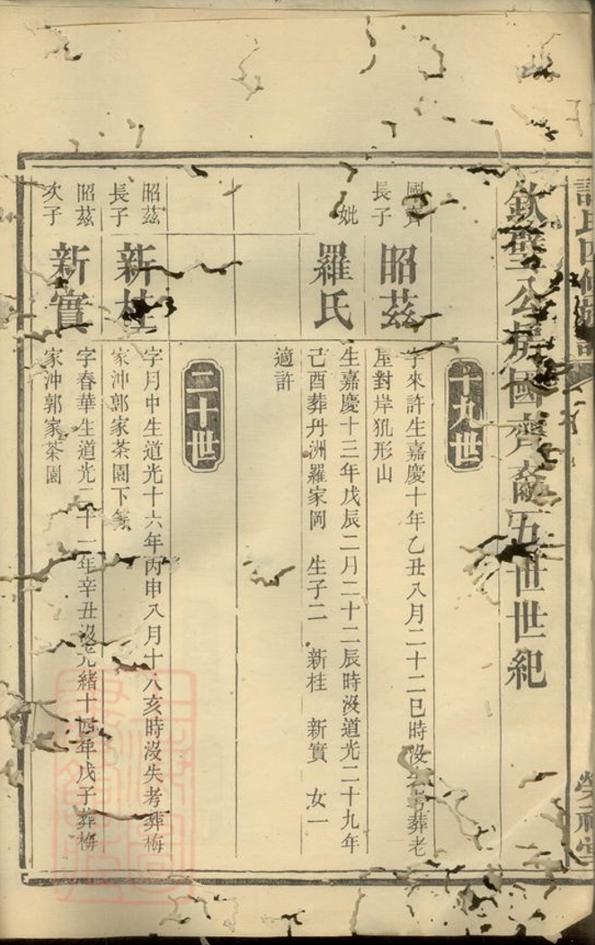 _譚氏四修族譜__