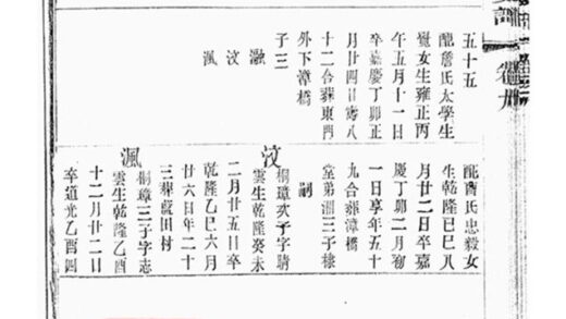 09961 豐義儲氏分支譜 Version 1 Part 3 1207231249 1.jpg