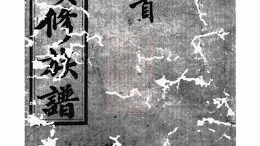 10251 邵陵雙泉胡氏續修族譜 1207231718 1.jpg