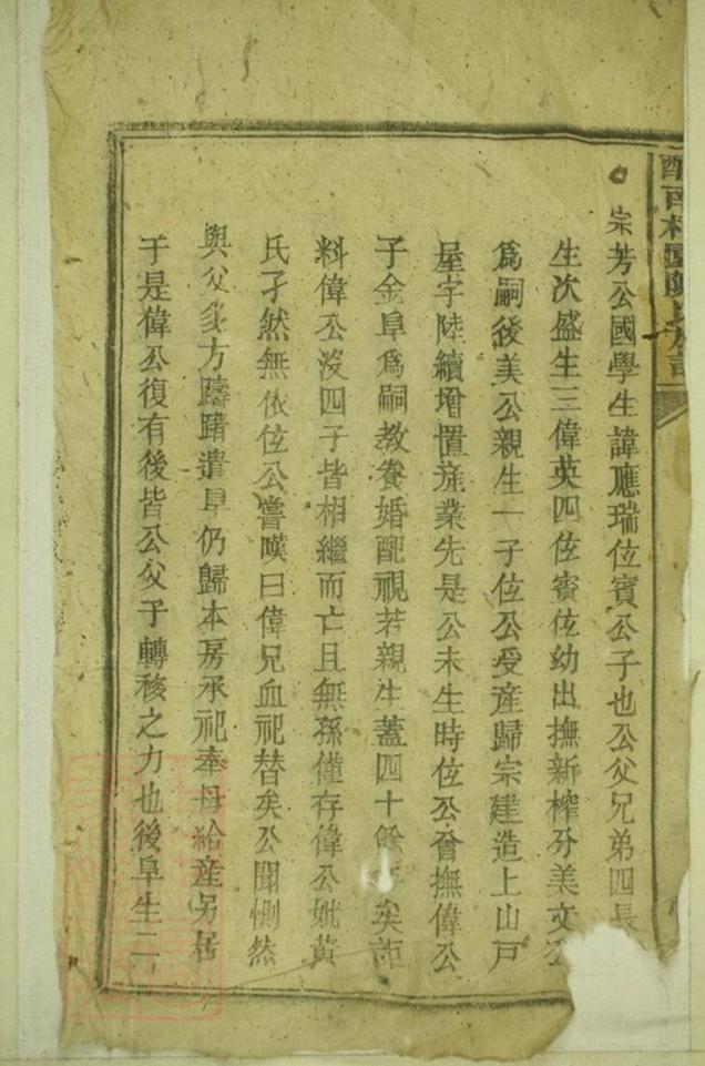 _醴南柏園陳氏族譜__