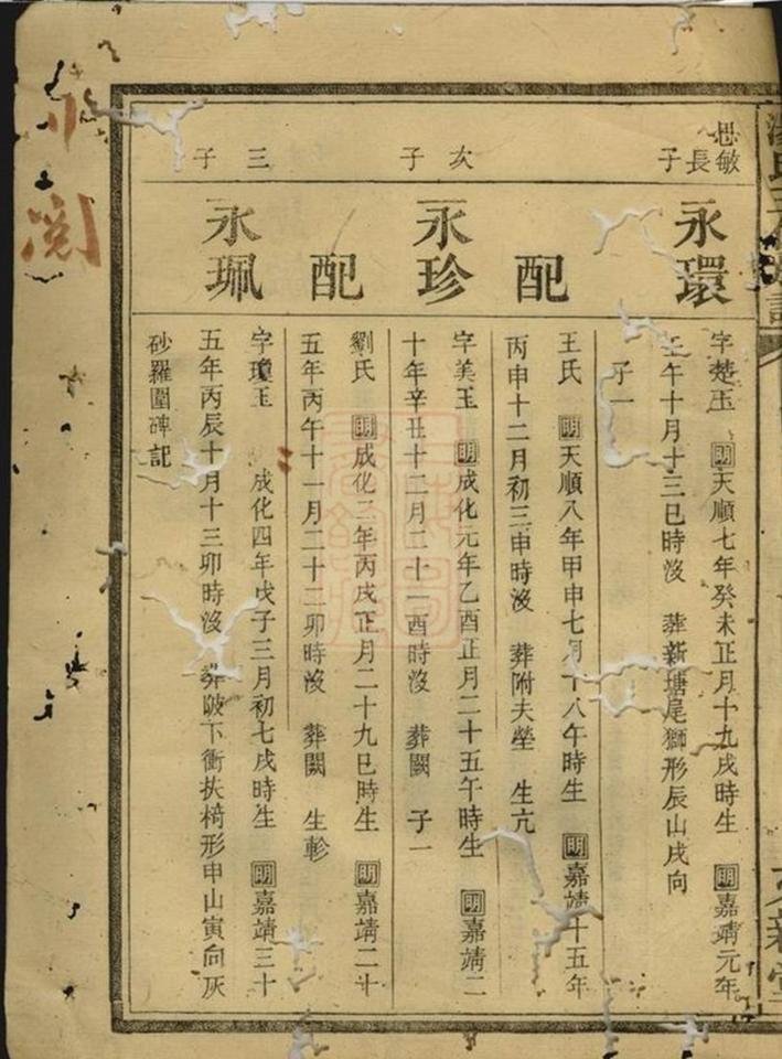 _醴西湯坪境湯氏五修族譜__