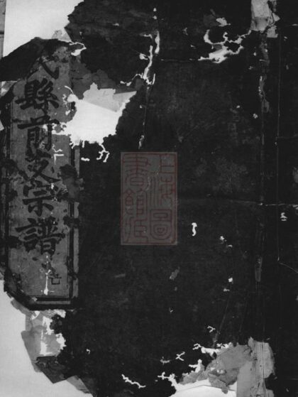 11140 陳氏縣前支宗譜 1207233058 1.jpg