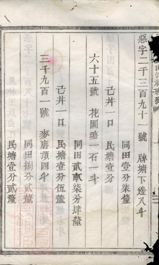 _鳳林王氏曲江小譜__
