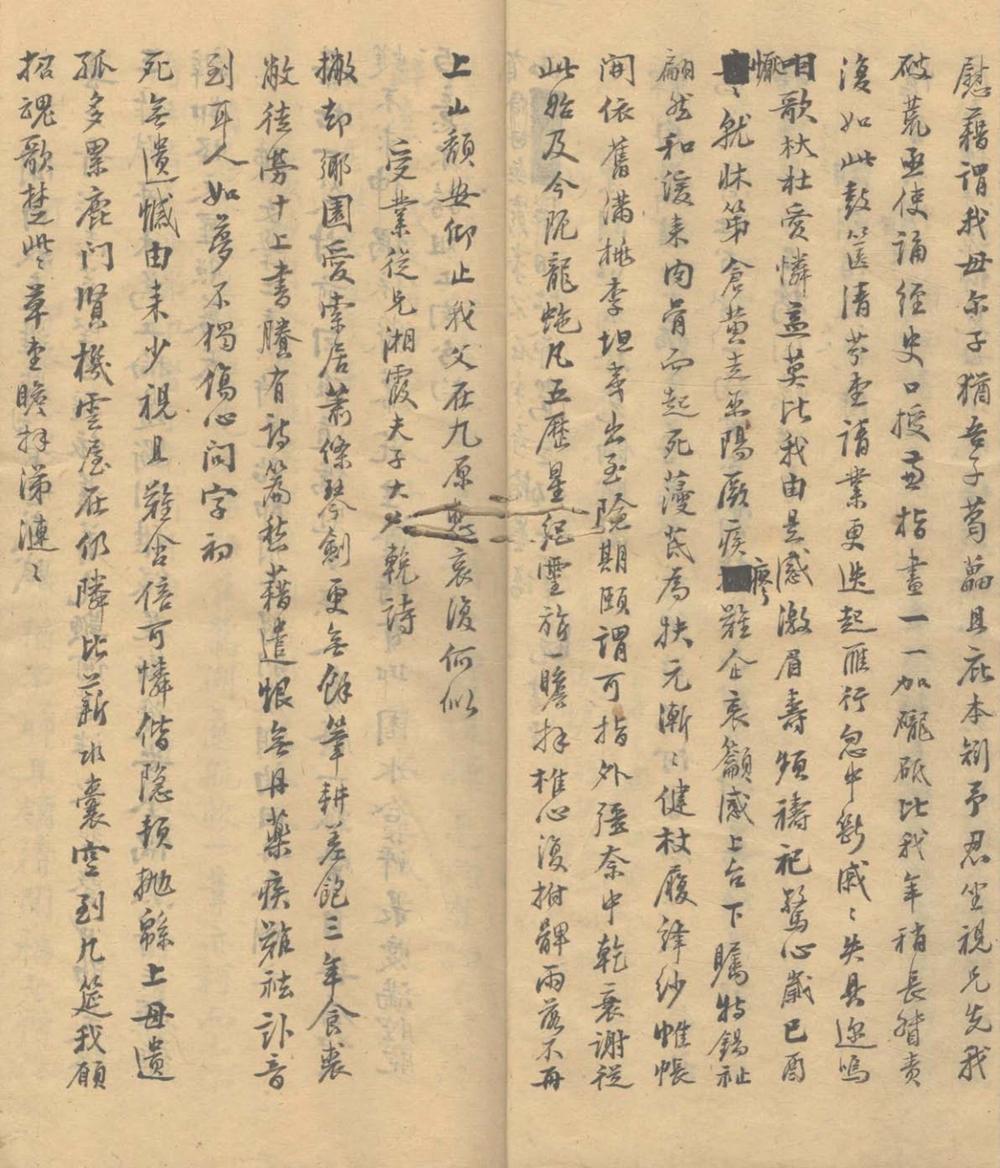 骈枝集一卷