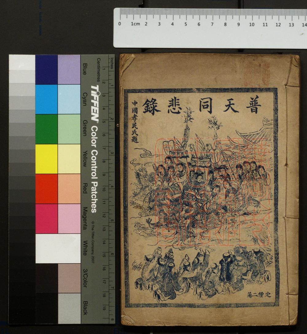 《普天同悲录(普天同悲錄)》(清)坑余子撰PDF电子书