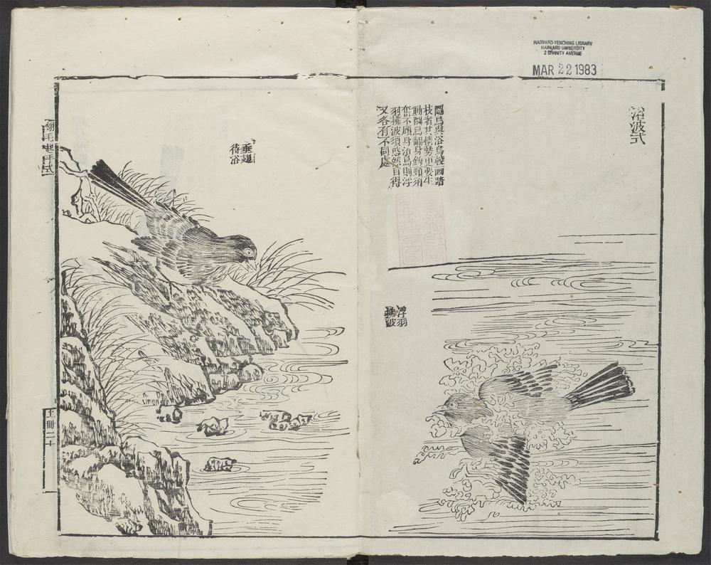 芥子园画传_v.12