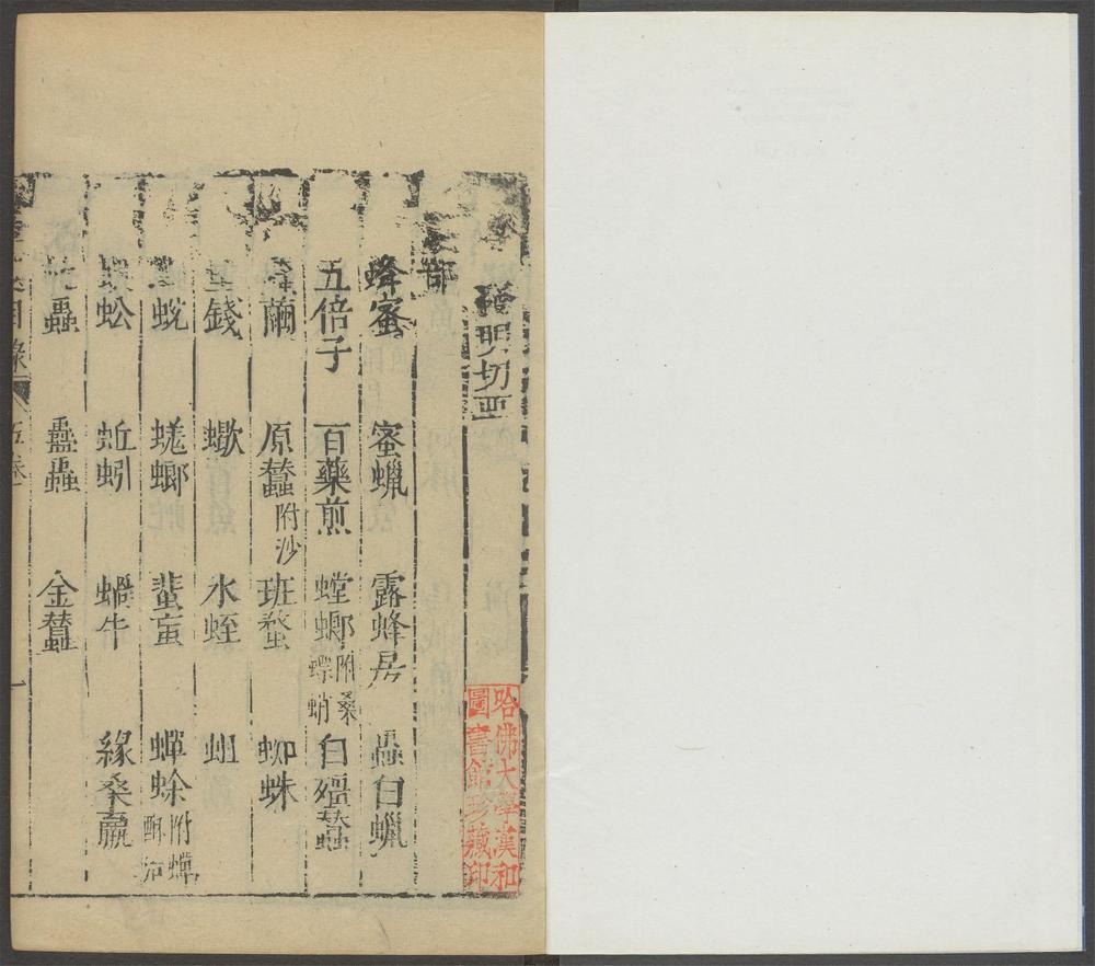医学六要_v.13