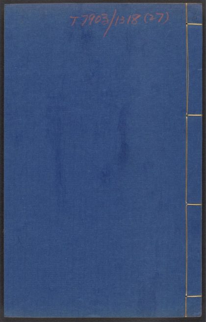 54003203 医学六要 v.27 1111155727 1.jpg