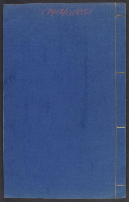 54003203 医学六要 v.6 1111155746 1.jpg