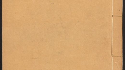 54056666 本草纲目 v.13 1111161220 1.jpg