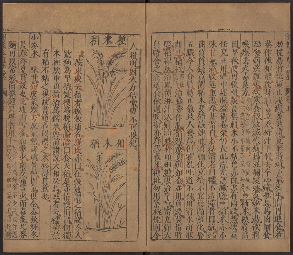 图像本草蒙筌_v.6