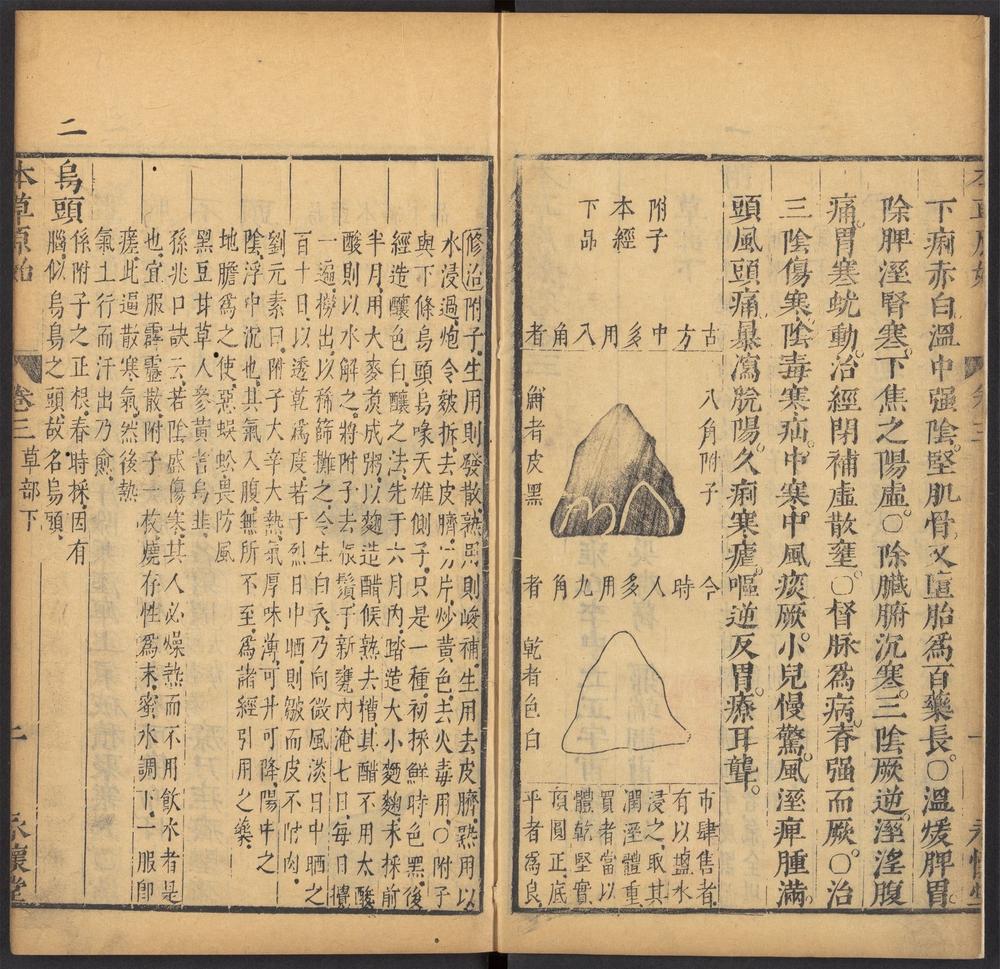 本草原始_v.2