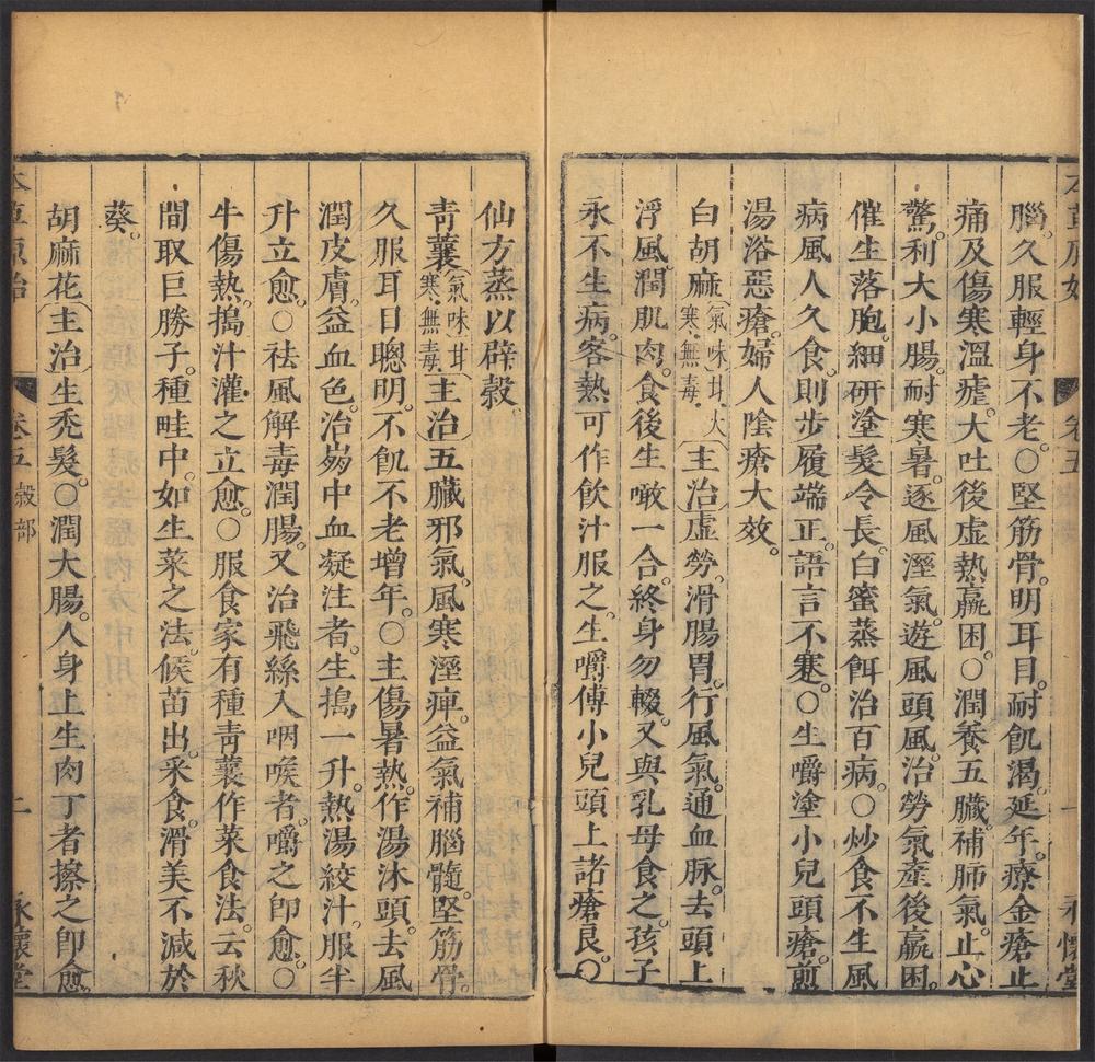 本草原始_v.3