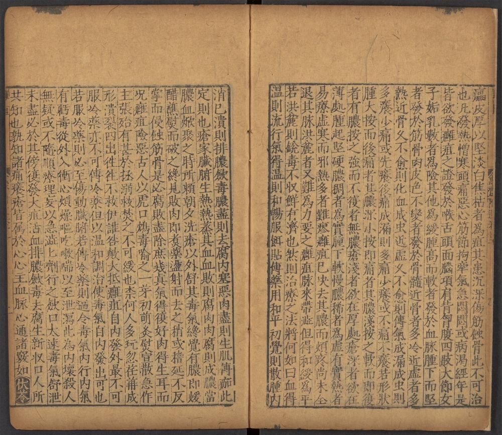 新刊仁斋直指附遗方论_v.6