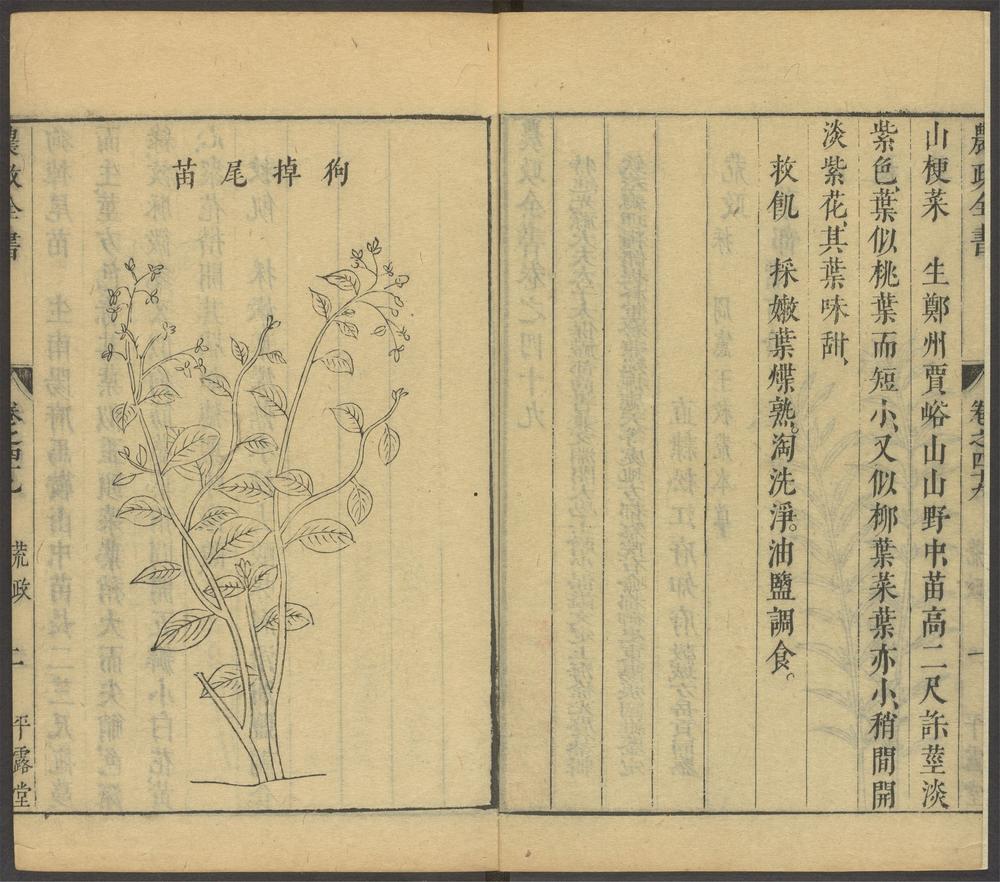 农政全书_v.16