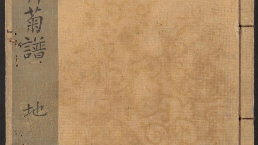 54074139 德善斋菊谱诗 v.2 1111161834 1.jpg