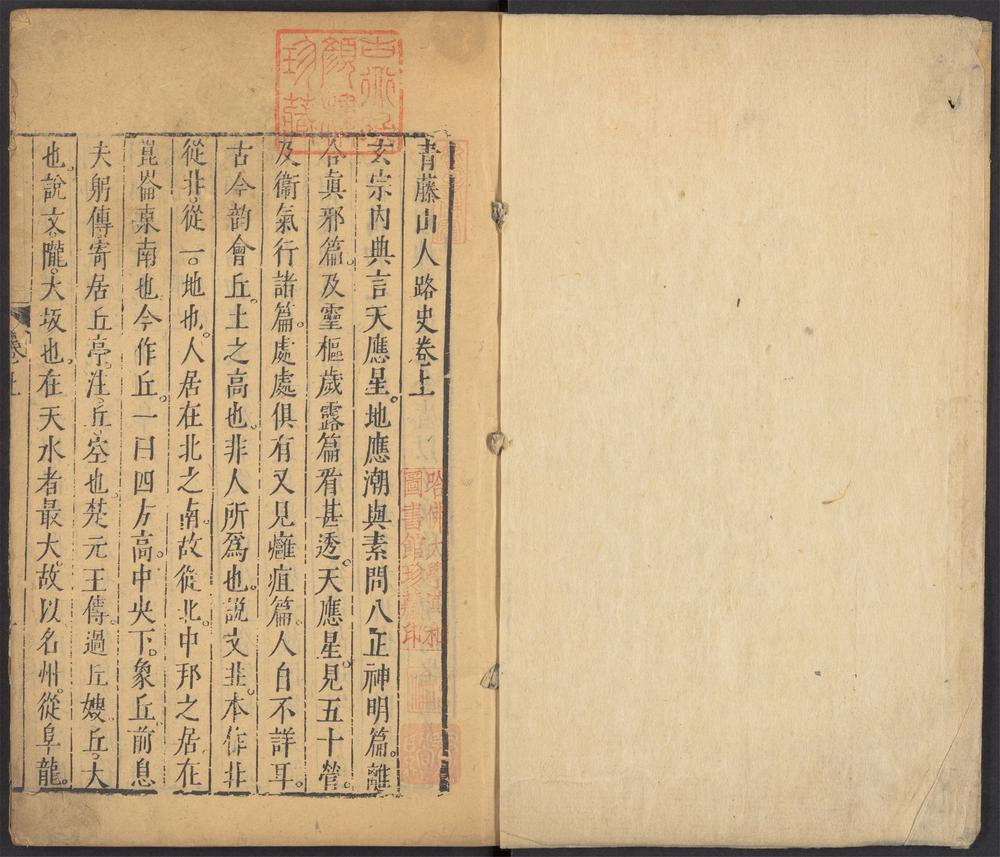 青藤山人路史