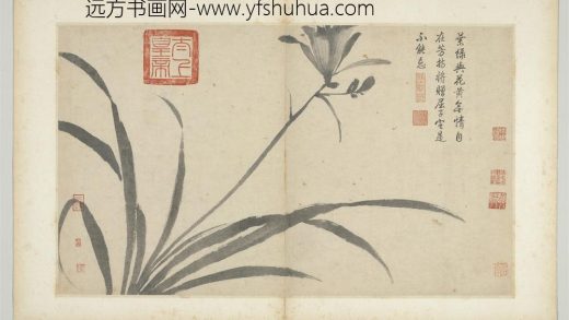 明沈周写生册 萱.jpg