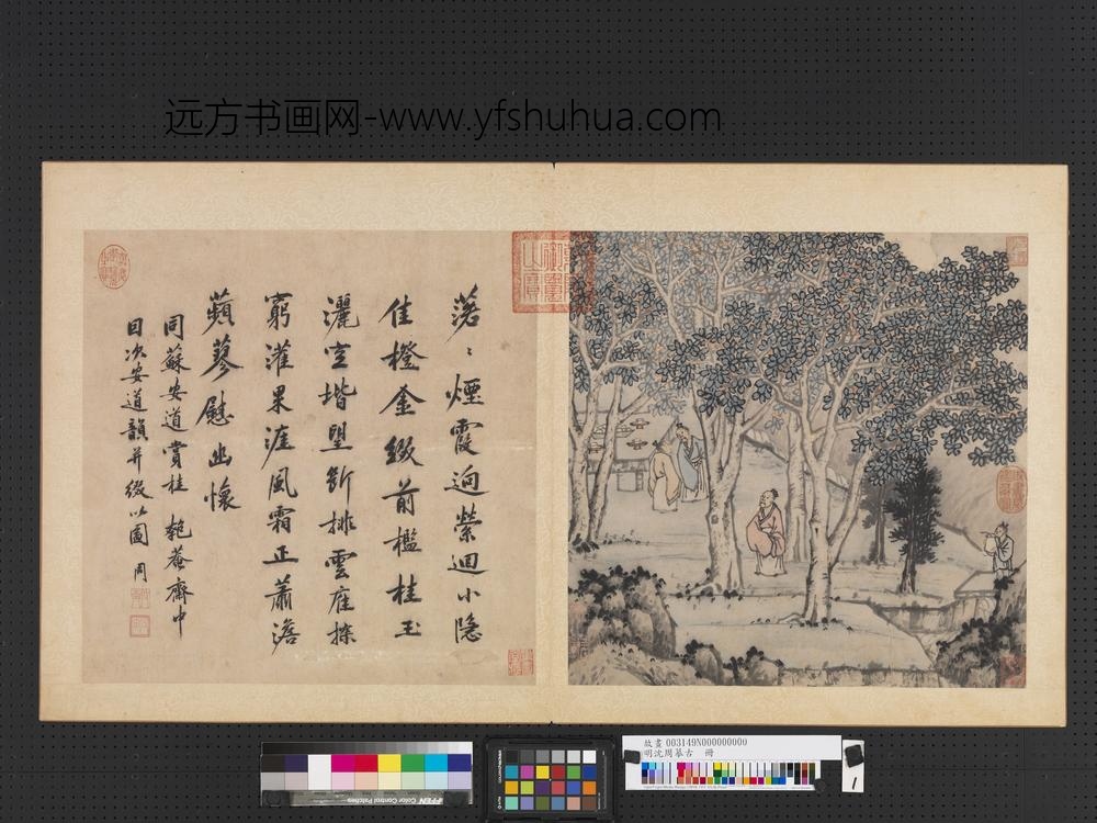 明沈周摹古册_园中赏桂