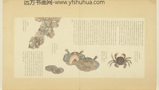 海错图第四册 无款合浦斑蟹.jpg