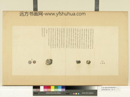 海错图第四册 无款掩螺.jpg