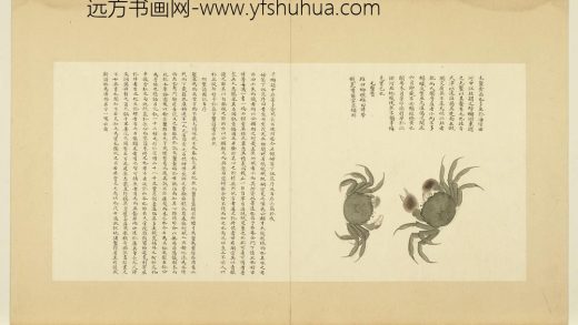 海错图第四册 无款毛蟹.jpg