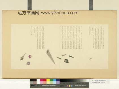 海错图第四册 无款沙虮.jpg