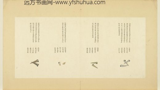 海错图第四册 无款白蛳.jpg