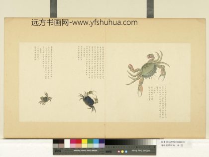 海错图第四册 无款石蟳.jpg